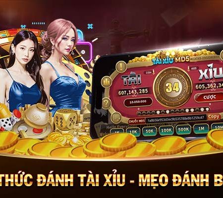 suncity casino đá gà casino 🎰 ngày hôm nay