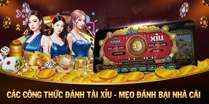 suncity casino đá gà casino 🎰 ngày hôm nay